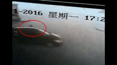 0 (2).gif
