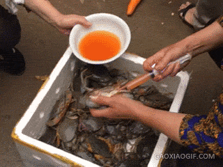 5eef6257gw1f60670zs37g208w06ohdt.gif