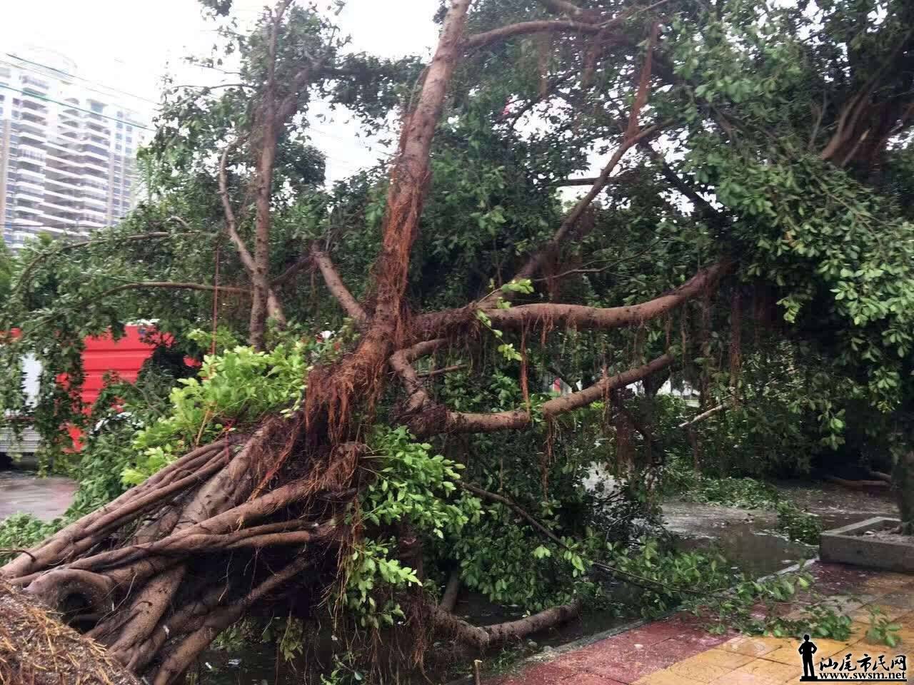 webwxgetmsgimg.jpg