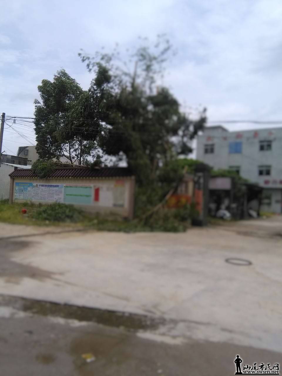 ž޻hii.jpg