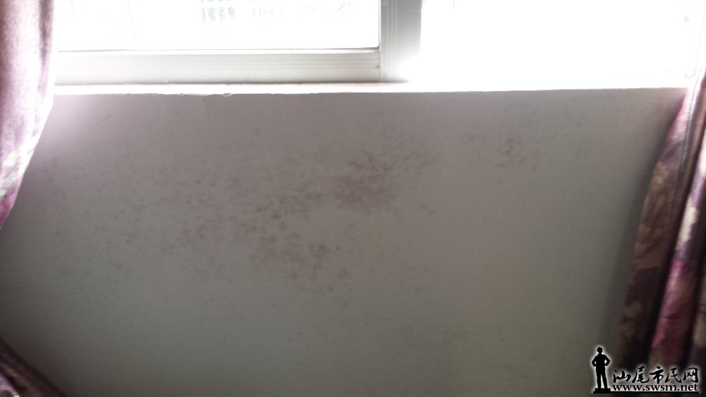 20160802_103103.jpg