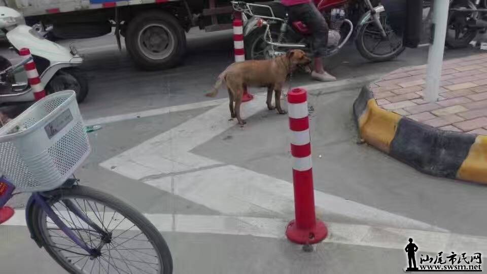 image.jpeg