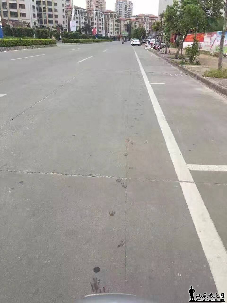 image.jpeg