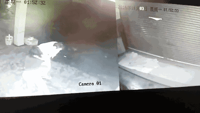 0 (1).gif