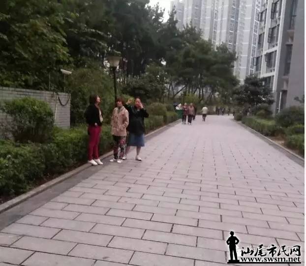 640.webp (15).jpg