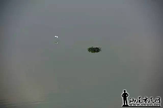 640.webp (45).jpg
