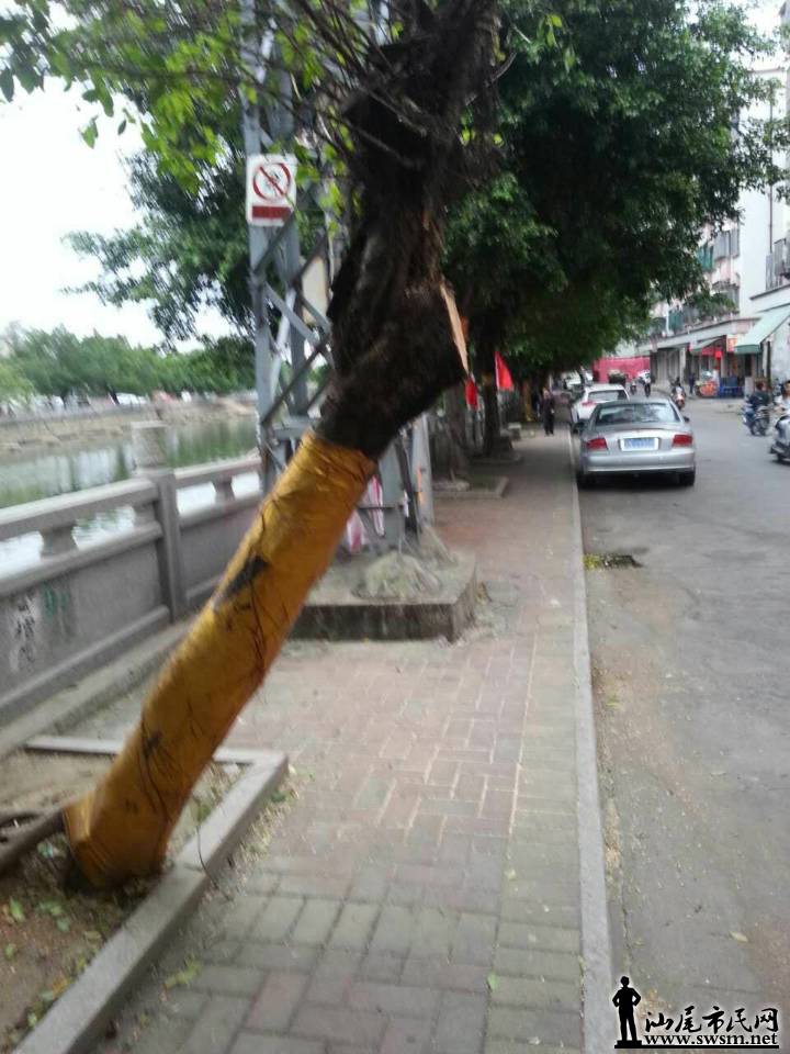 mmexport1478080671801.jpg