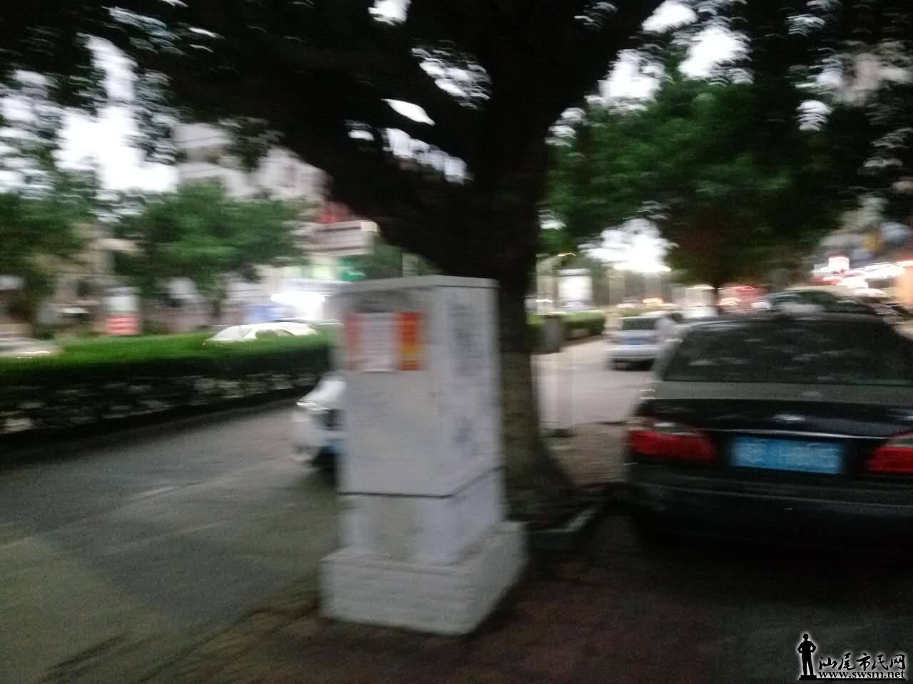 322022367229014188.jpg