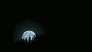 0.gif