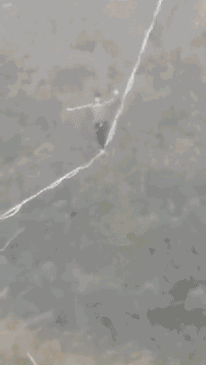 0.gif