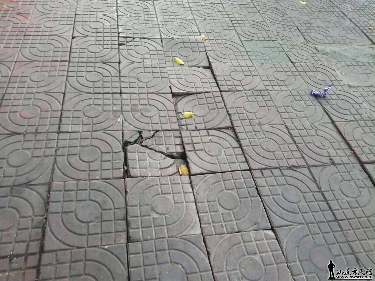 438340716686305478.jpg