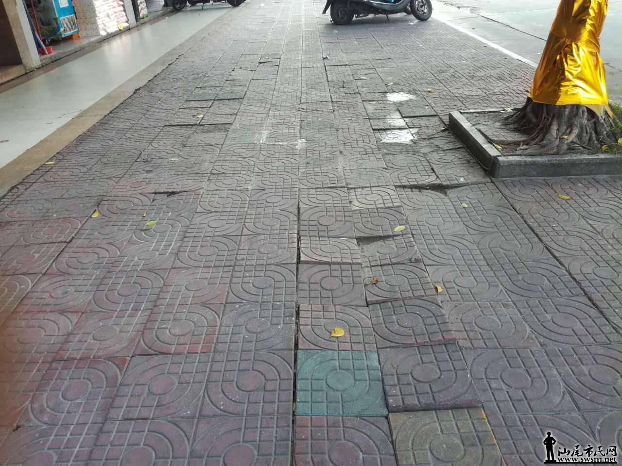 461250553870760995.jpg