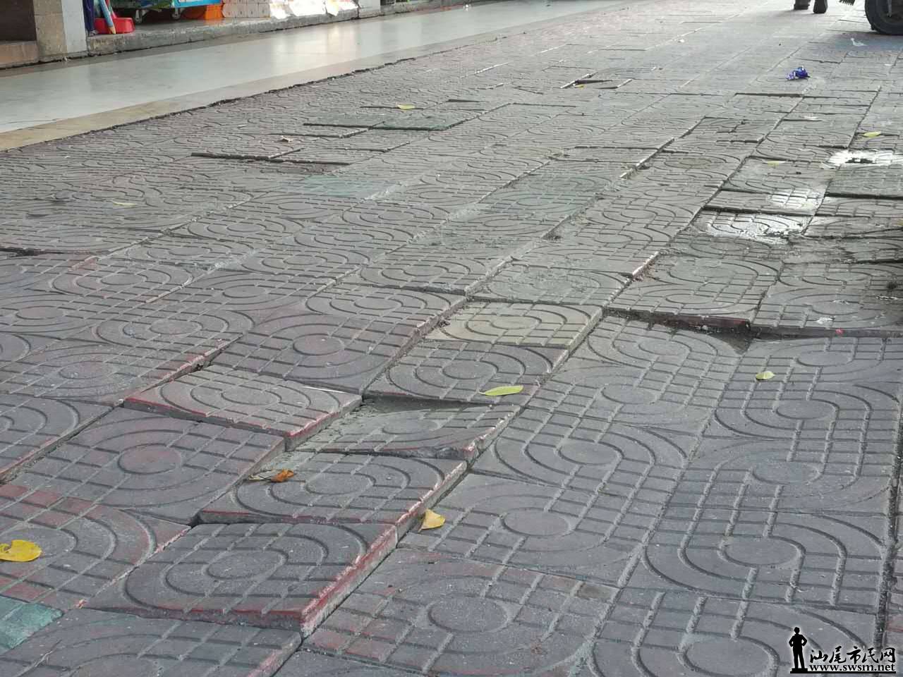 729473688506590547.jpg