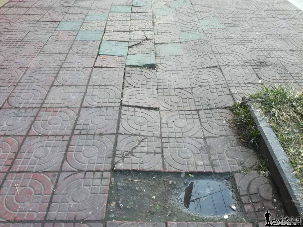 785760888508492902.jpg
