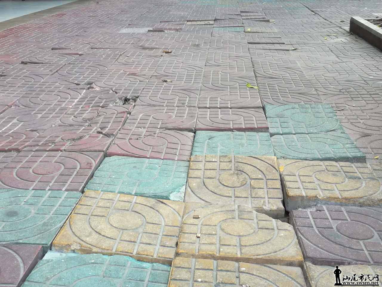 904258985121724272.jpg