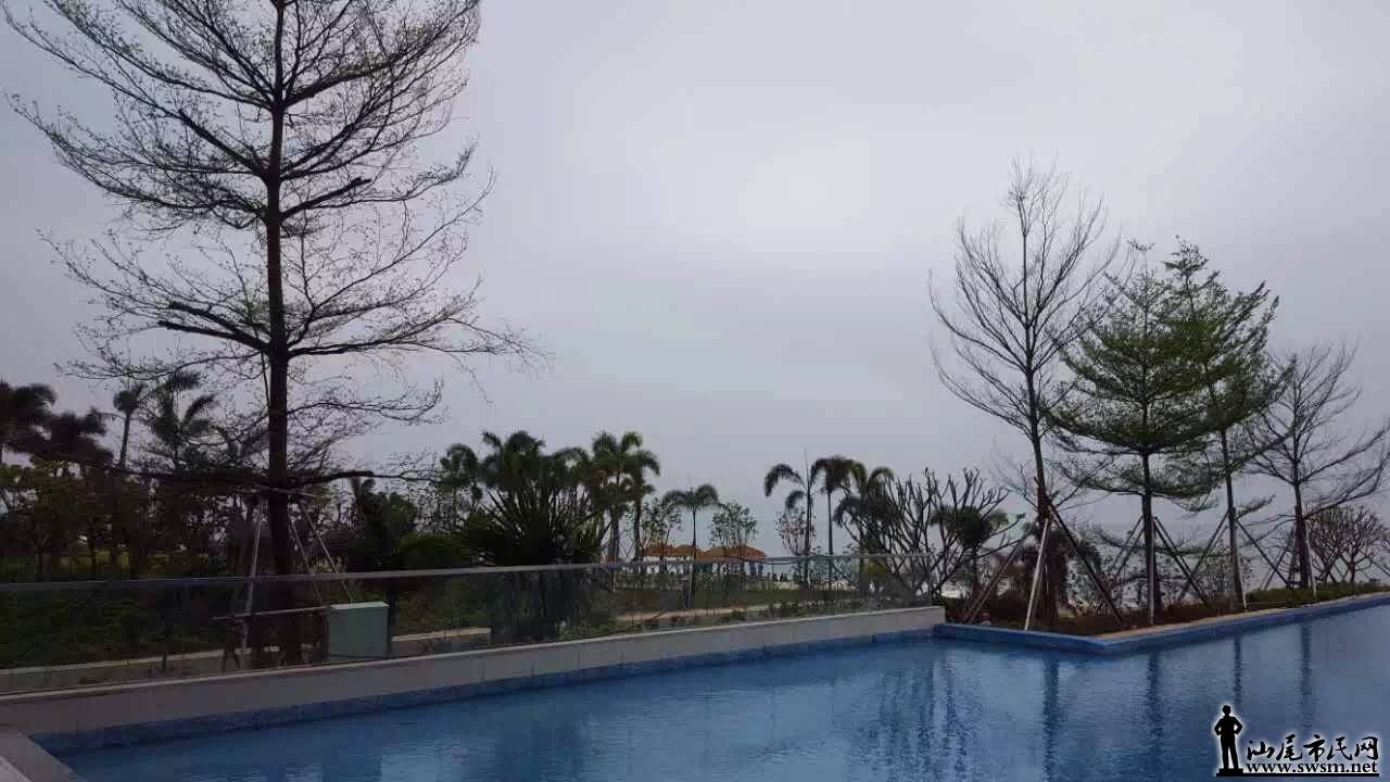 813089143767725480.jpg