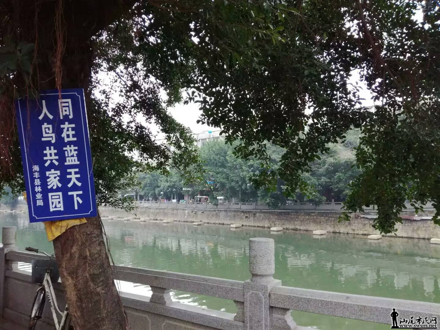 1484314926102.jpeg