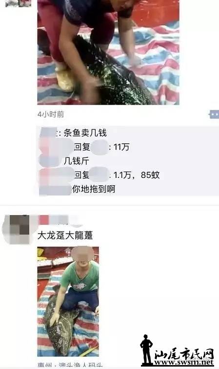 3.webp.jpg