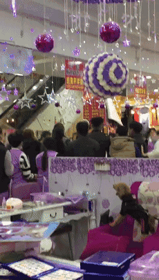 0 (4).gif
