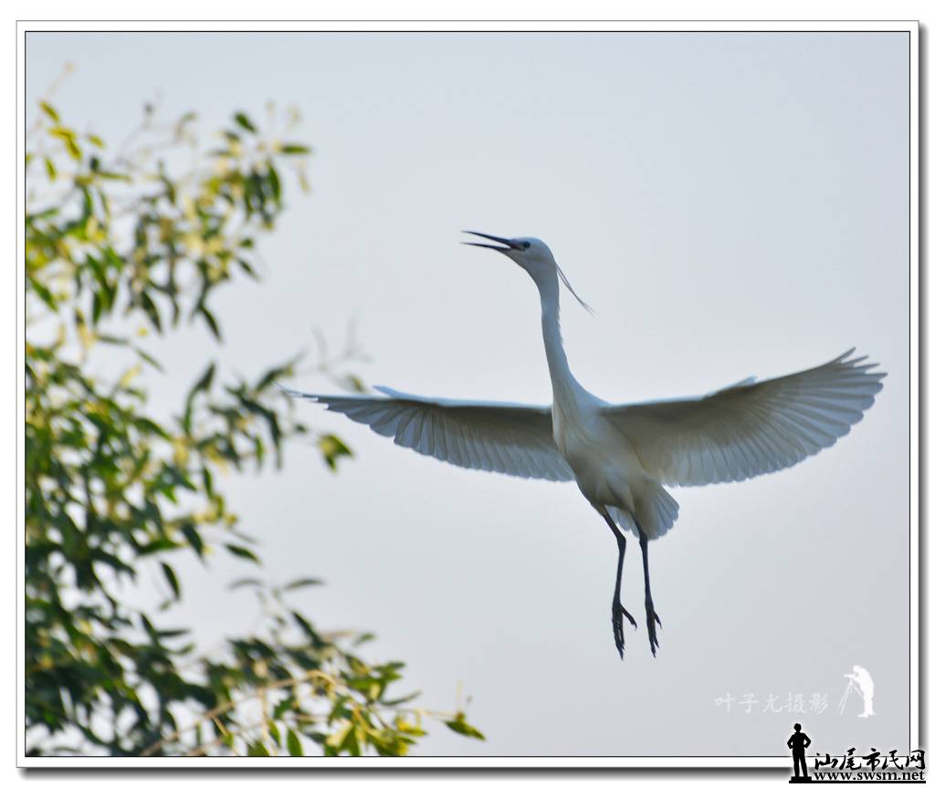 DSC_8702-.jpg