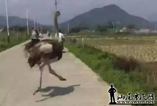 QQͼ20170405095847.png