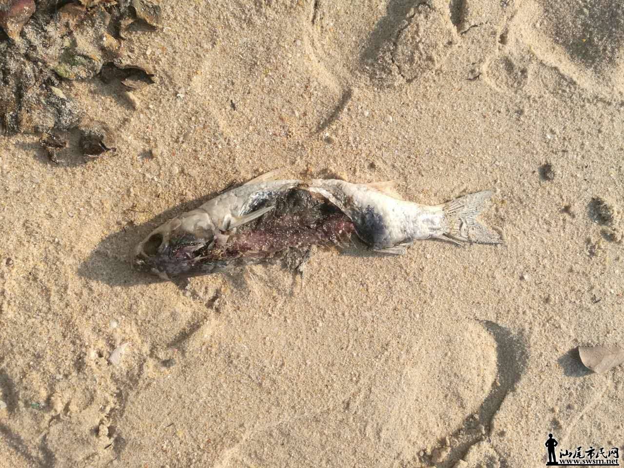 ΢ͼƬ_20170406113116.jpg