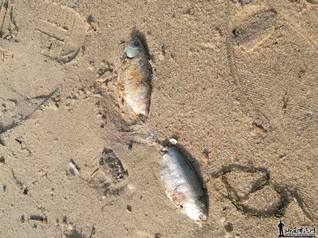 ΢ͼƬ_20170406113107.jpg