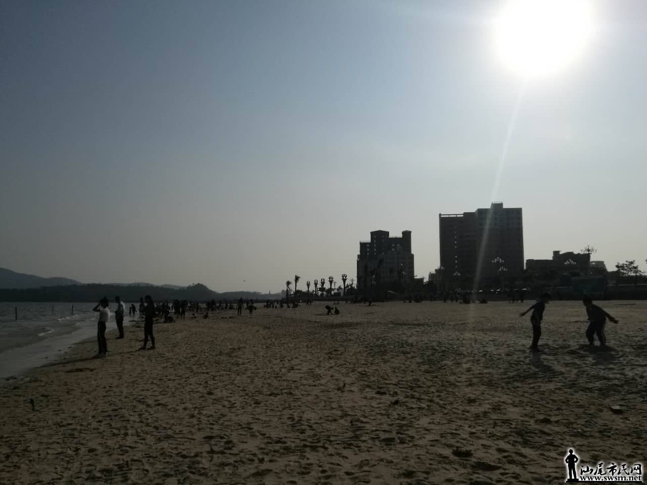 101059qagcgffql5009160.jpg