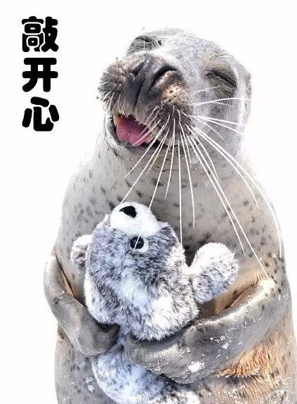 QQͼ20170410181913.png