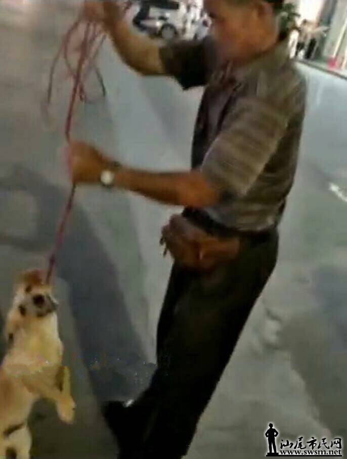 513446445489984294.jpg