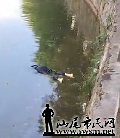 QQͼ20170504093411.png