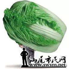 640.webp (17).jpg