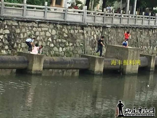 640.webp (43).jpg