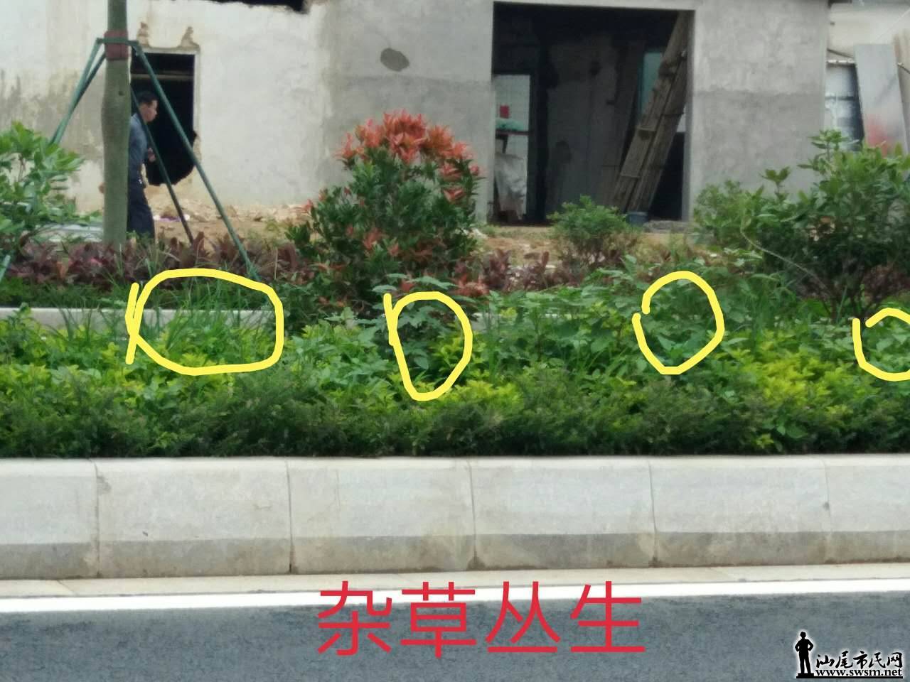wechat_upload14955185435923cd4f50726