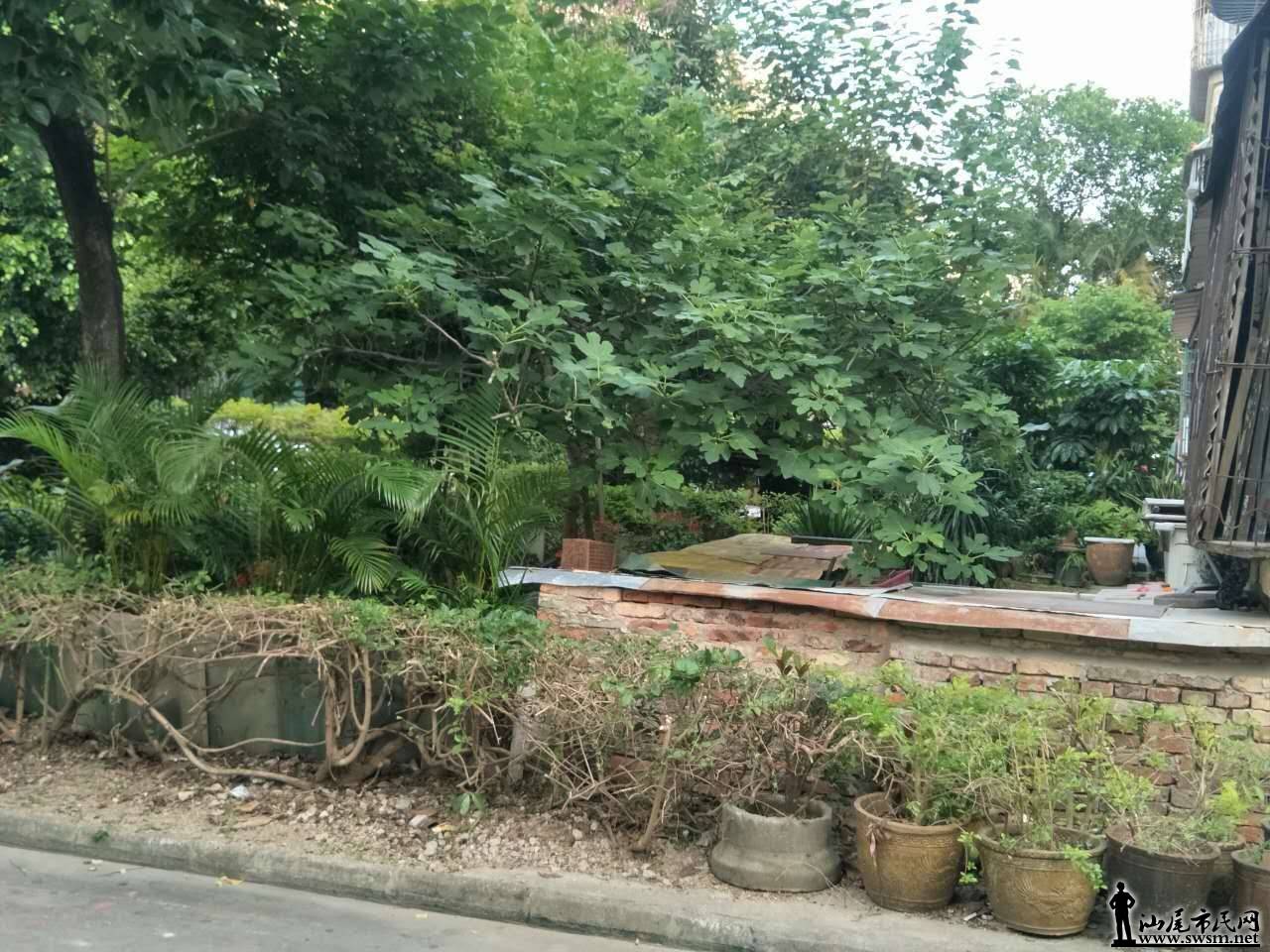 ΢ͼƬ_20170610210209.jpg