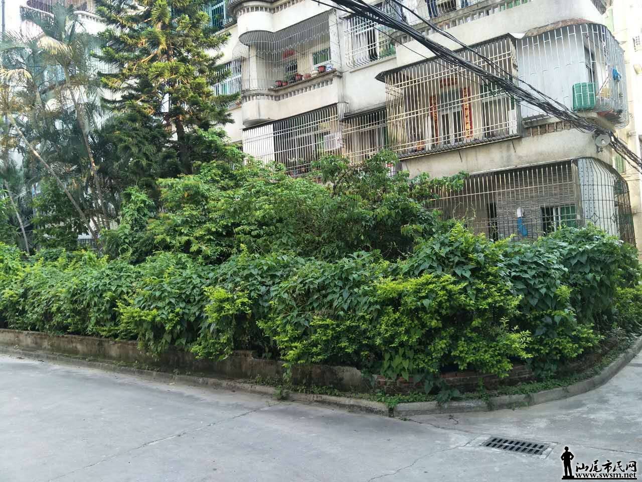 ΢ͼƬ_20170610210438.jpg