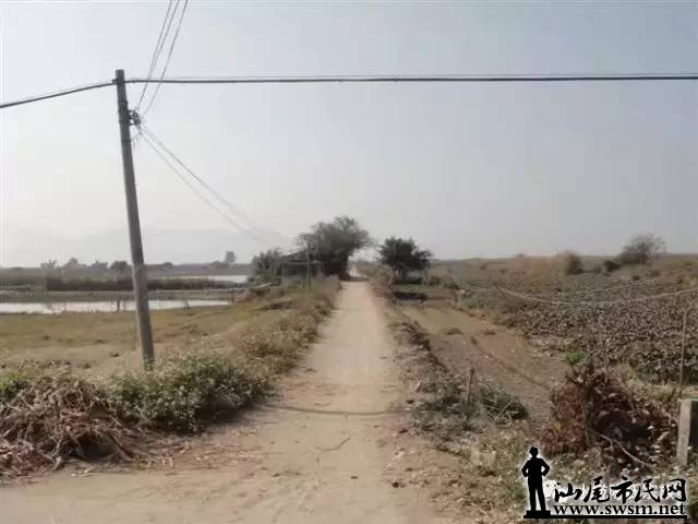 640.jpg