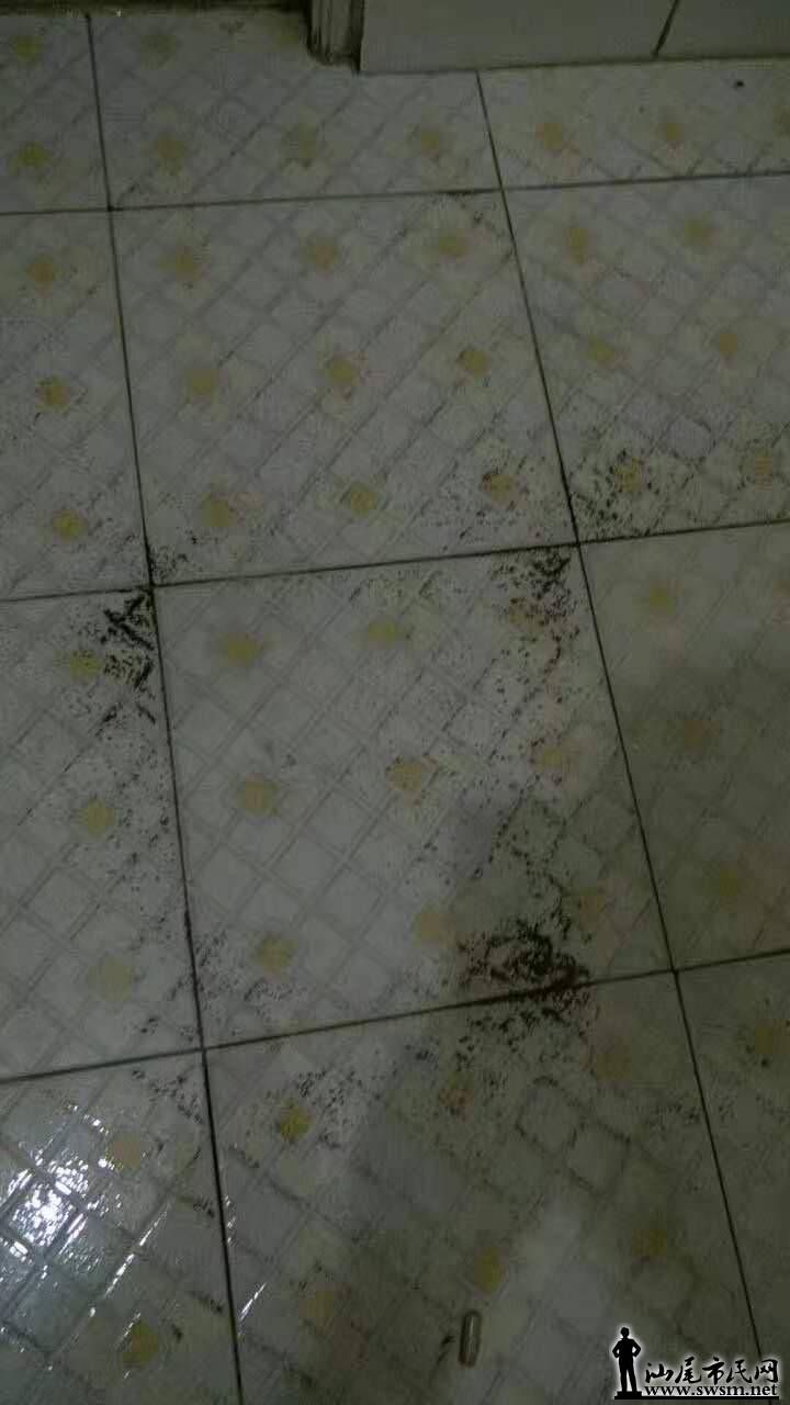 222.jpg
