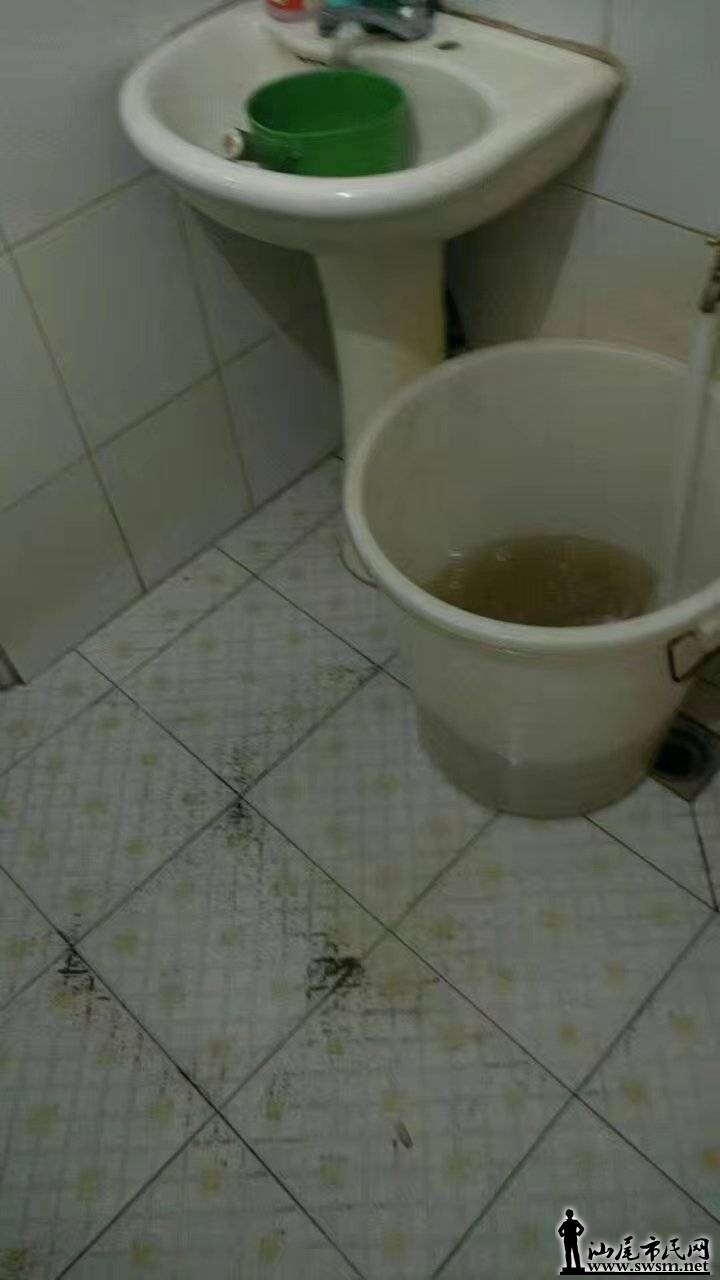 333.jpg