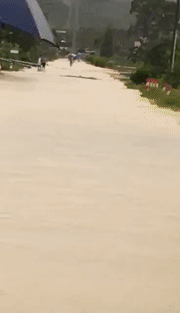 774945d49621a9eb58cef4fb783c5bdb_00_00_00__00_00_10.gif