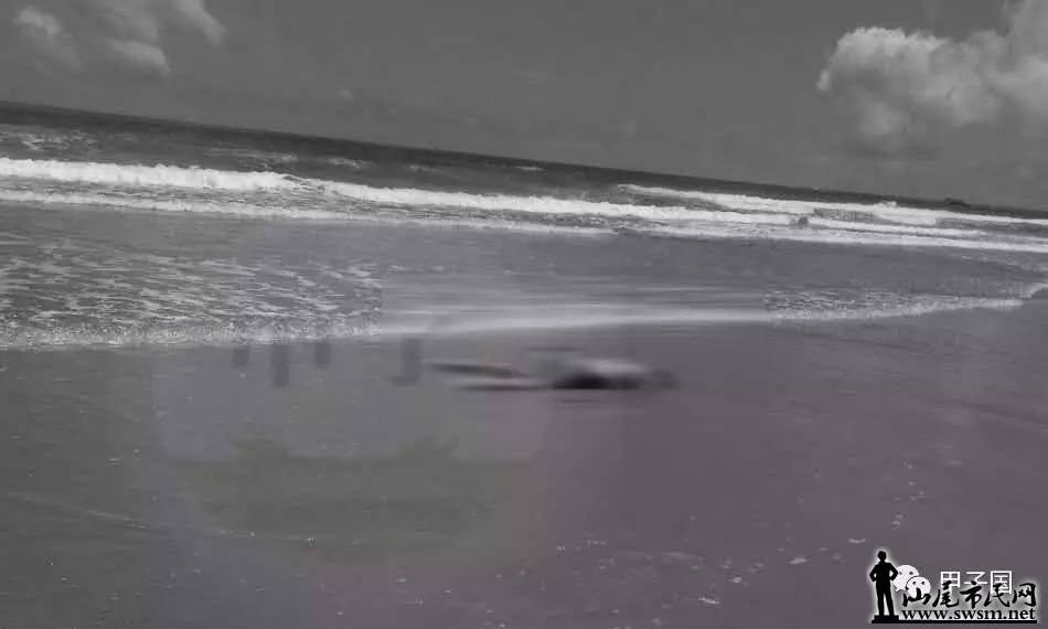 ΢ͼƬ_20170726111411.jpg
