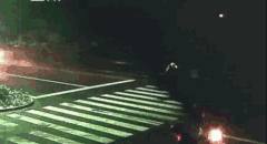 ΢ͼƬ_20170730095743.gif