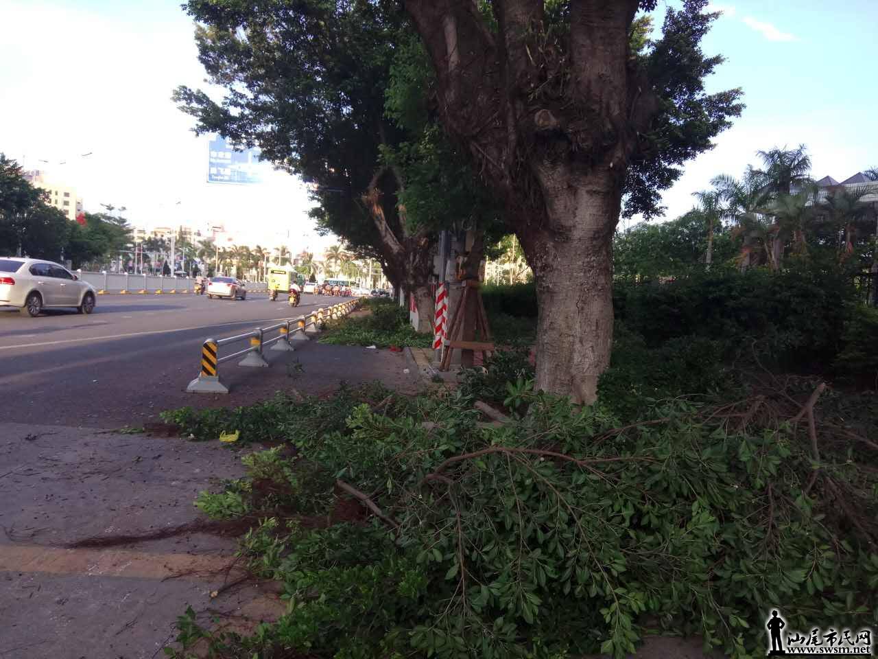 ΢ͼƬ_20170811154749.jpg