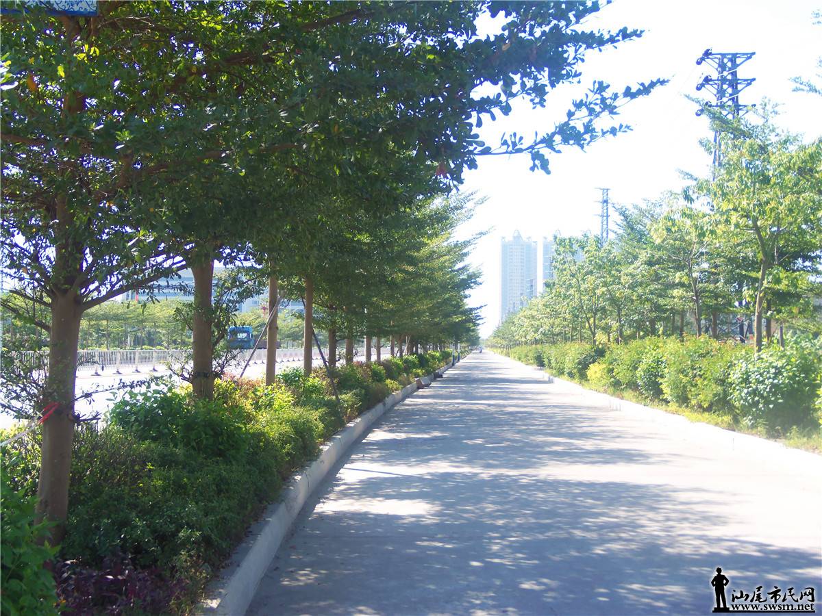 100_6757.JPG