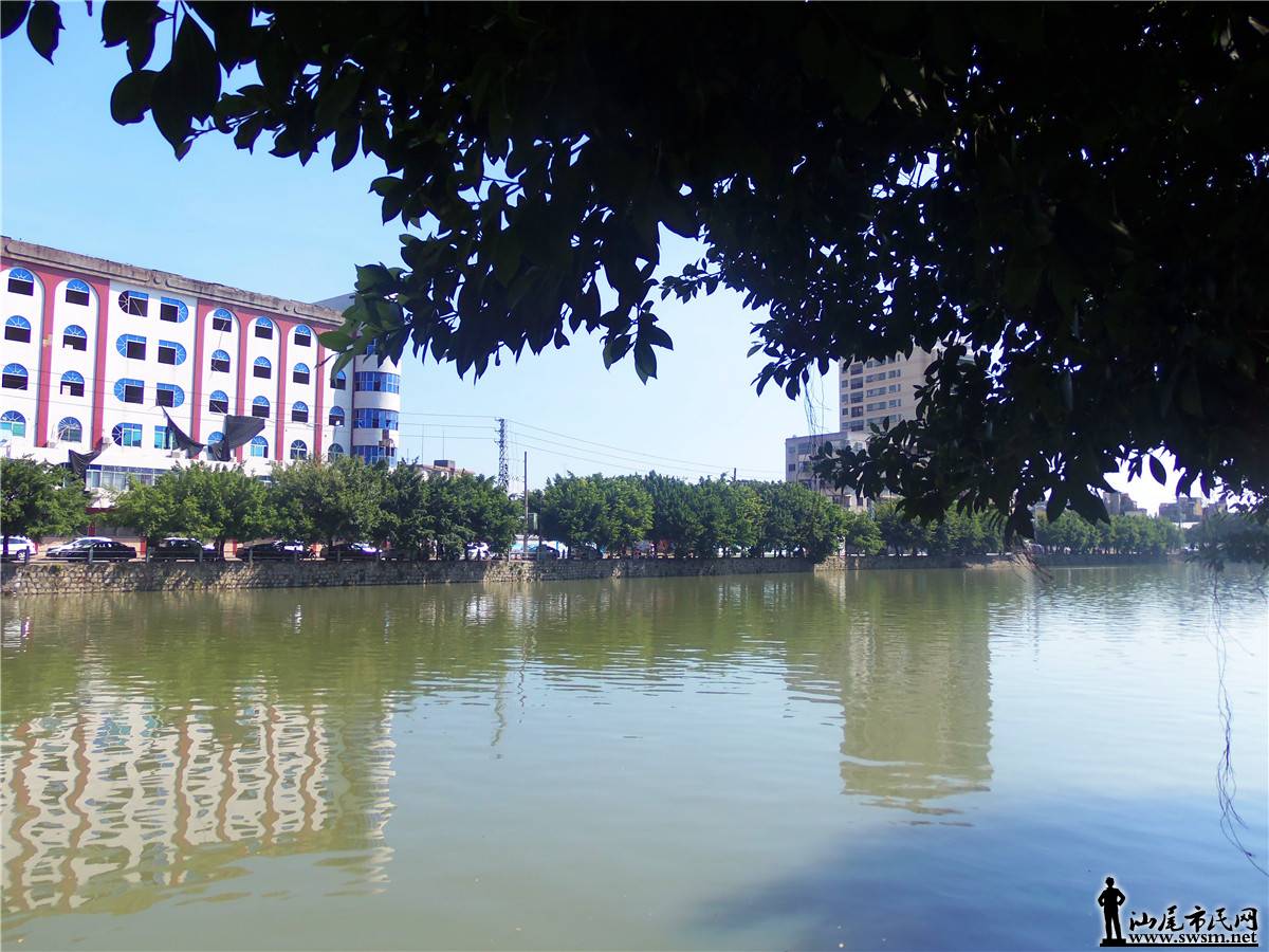 100_6764.JPG