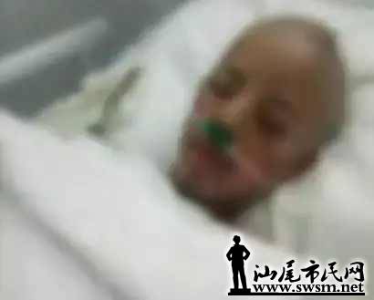 7988932652237edfbfd7dc5f0dc40355x410x329x3.webp;,3,jpegx;3,700x.jpg