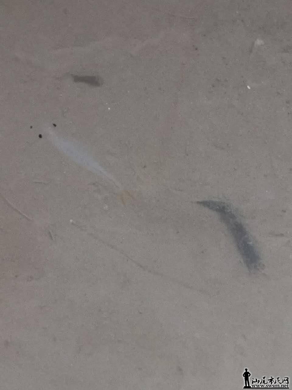 ΢ͼƬ_20171013012807.jpg