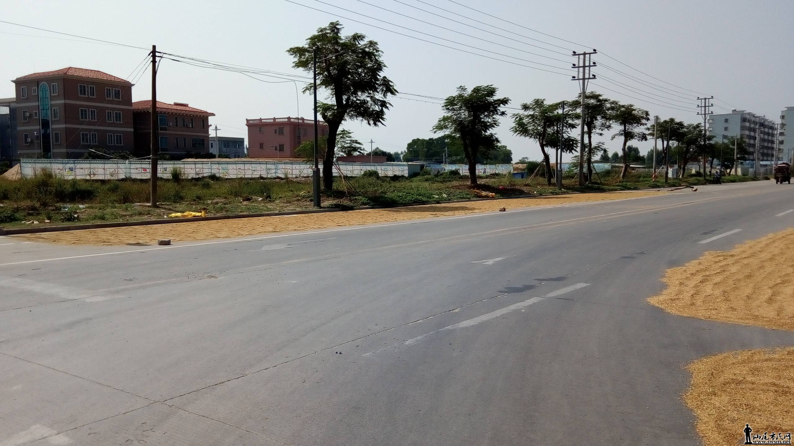 P71029-114845.jpg