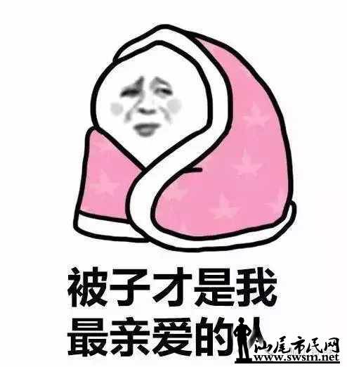 3f1fe777bec267c9ea2c1a15fceb45a8x494x522x18.webp;,3,jpegx;3,700x.jpg