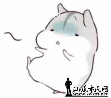 72f4dbfb7d4213059d2dd40faade8feex388x341x4.webp;,3,jpegx;3,700x.jpg